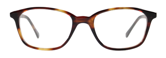 Light Tortoiseshell - Front