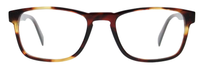 Light Tortoiseshell - Front
