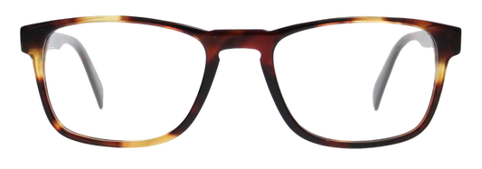 Light Tortoiseshell - Front